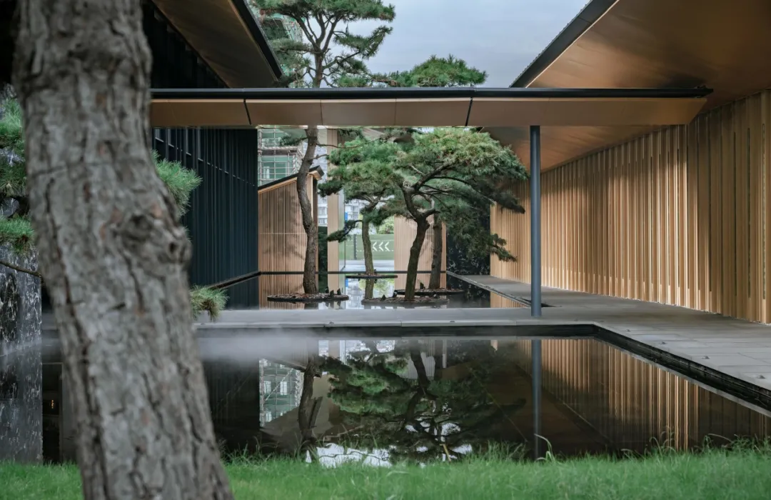 1734597410776096.jpg 1734597347791.jpg