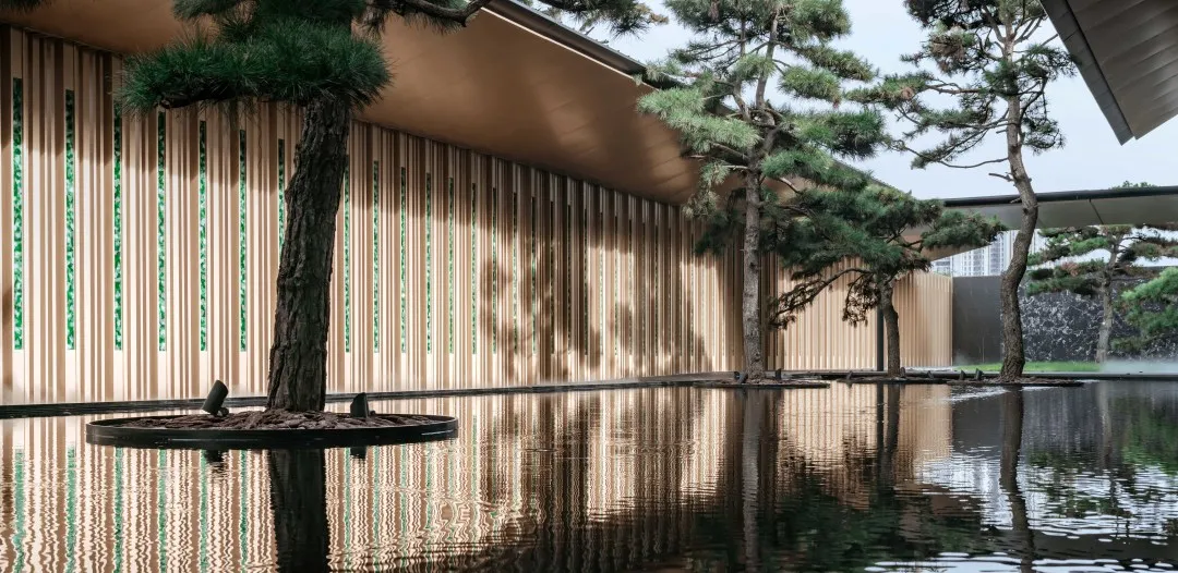 1734597468156759.png c893d55fe43b682ac22fe47bfd6eaec.png