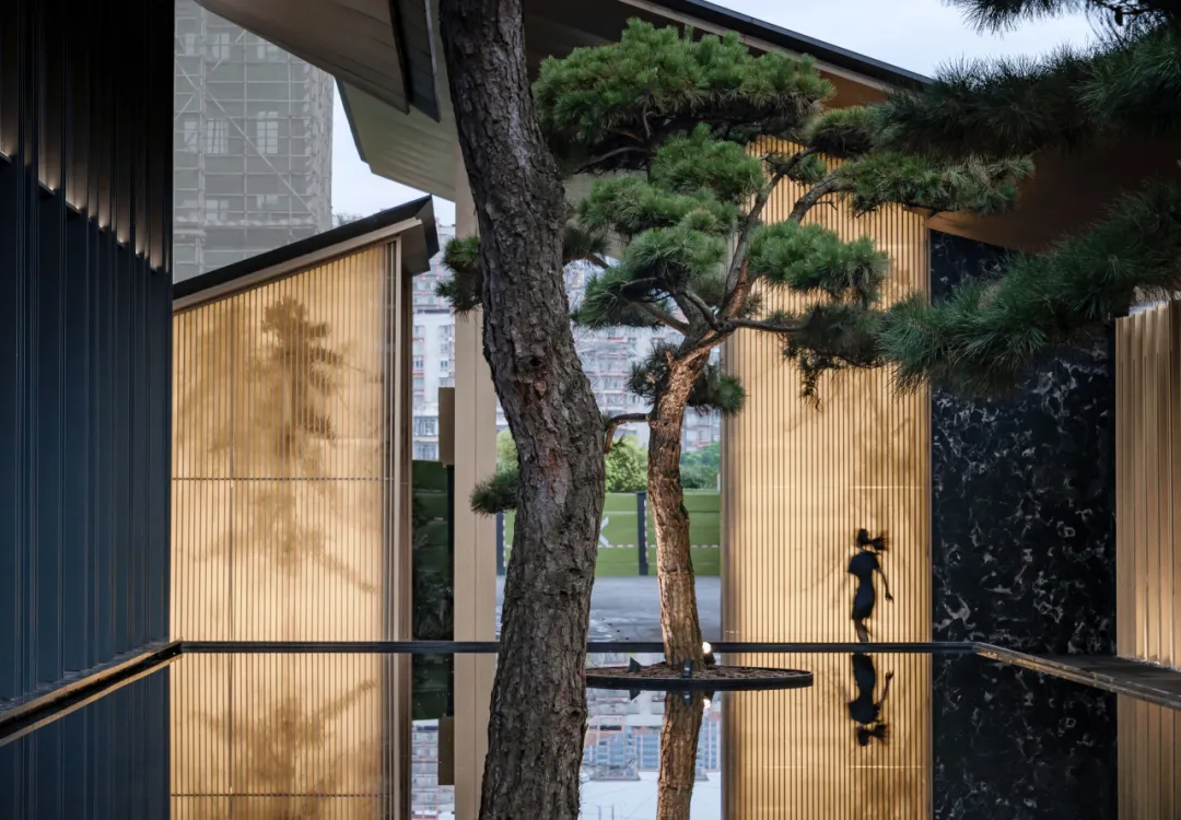 1734597564165595.jpg 1734597514396.jpg