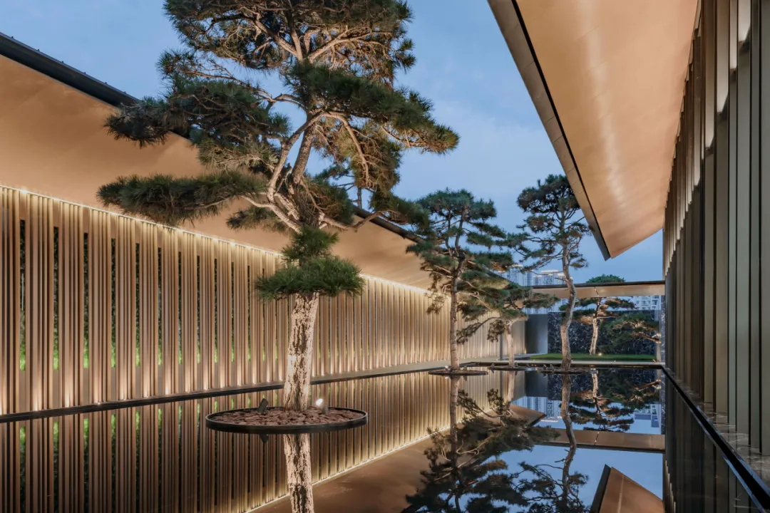 1734597569191658.jpg 1734597516794.jpg