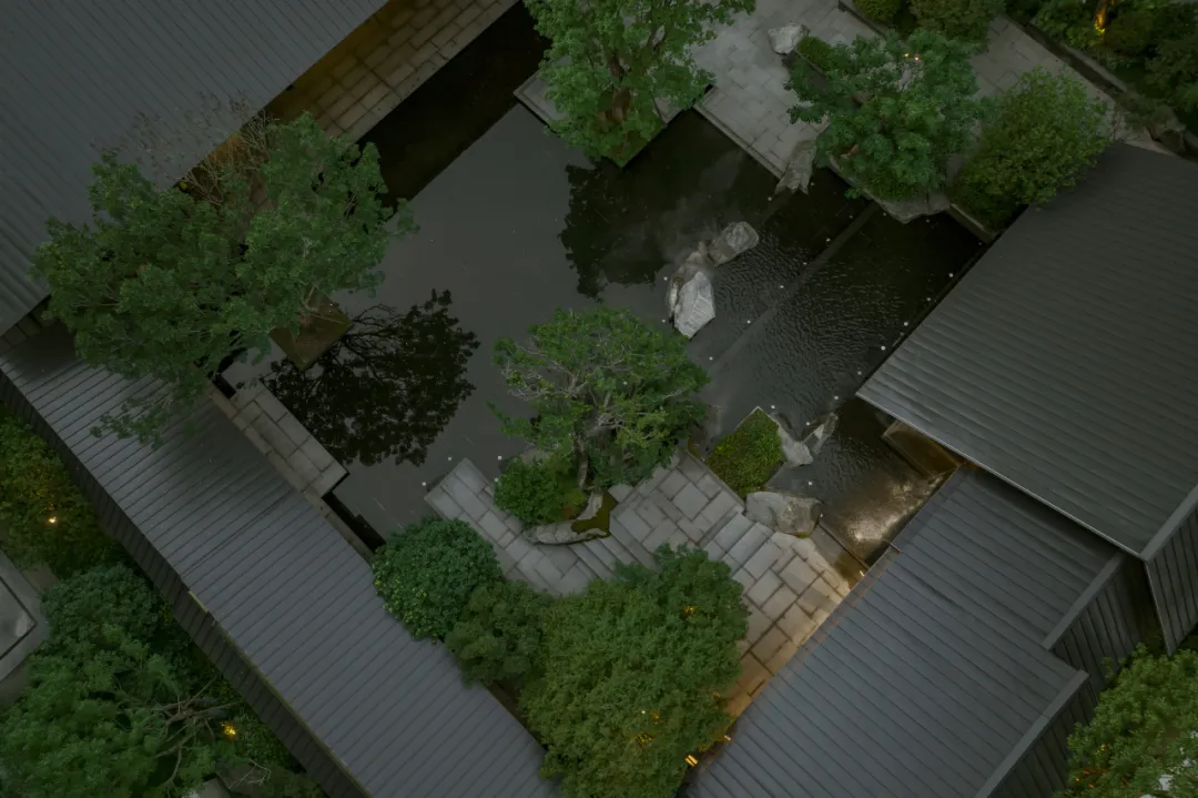 1734597600202194.jpg 1734597531108.jpg