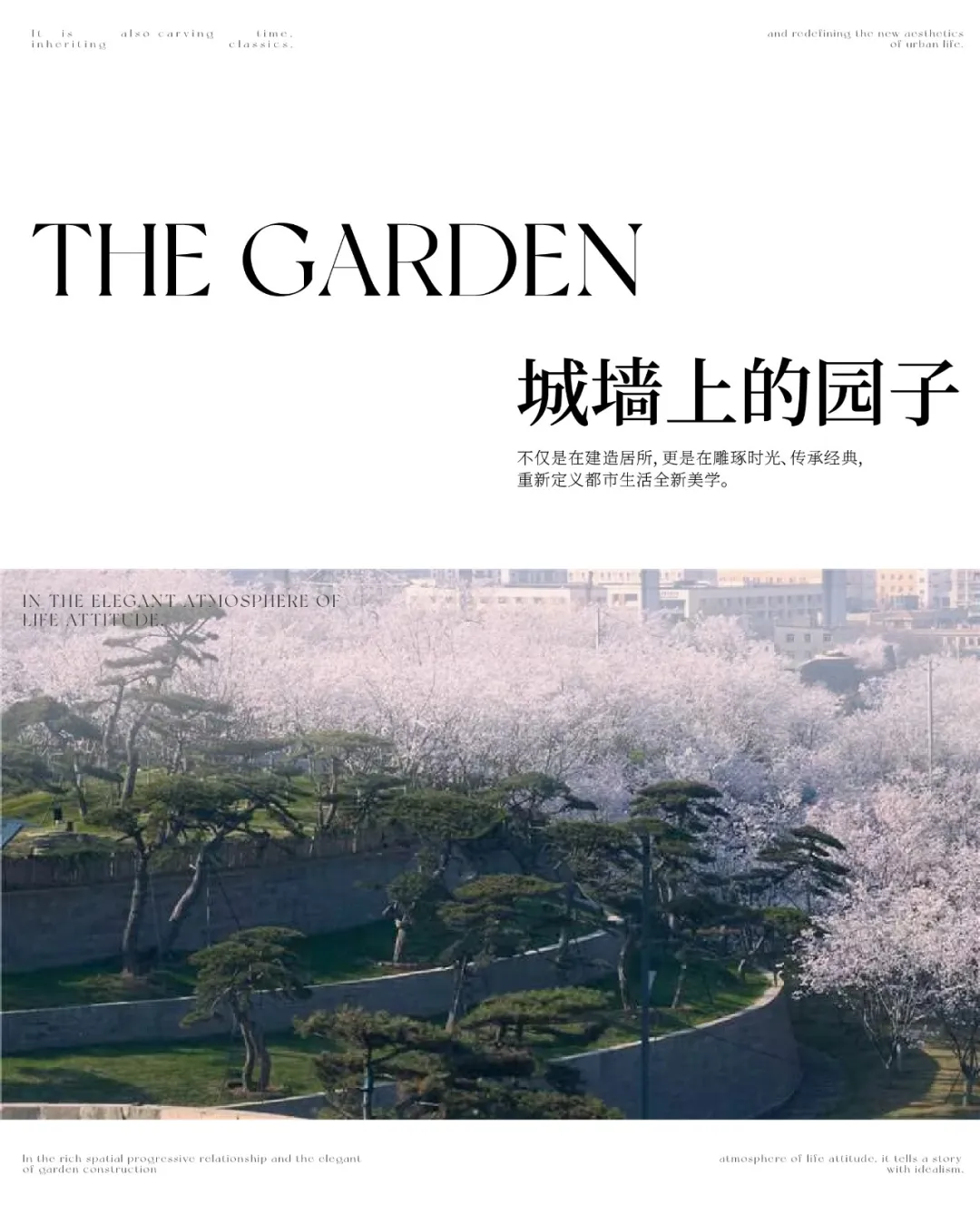 1734661330188426.jpg 1734661296660.jpg