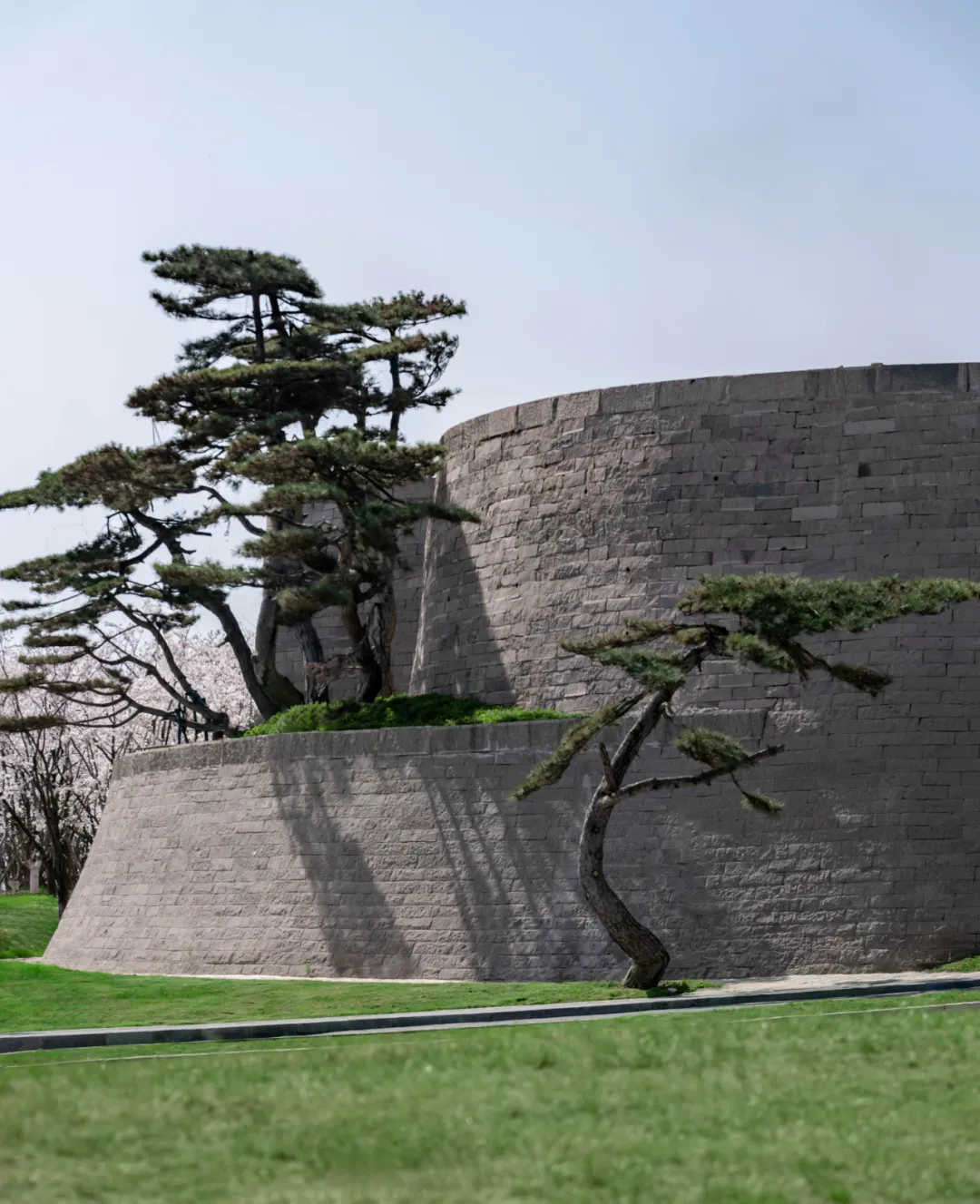 1734661354199507.jpg 1734661302599.jpg