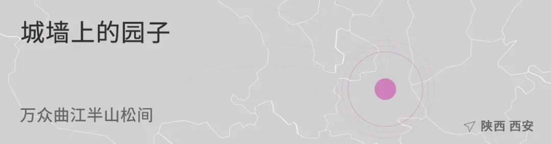 1734661359203435.jpg 1734661308421.jpg