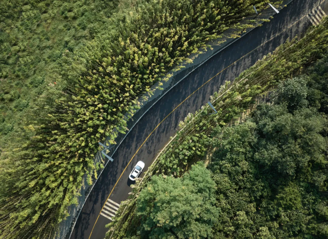 1734661393916130.jpg 1734661320590.jpg