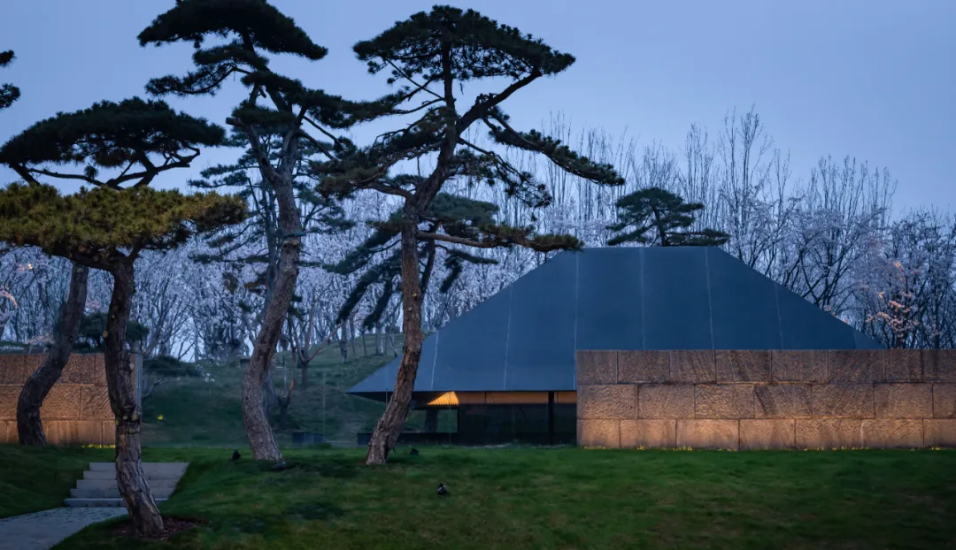 1734661420176094.jpg 1734661326360.jpg