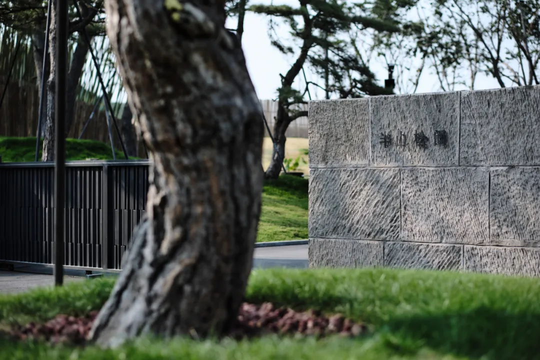 1734661497589047.jpg 1734661432907.jpg