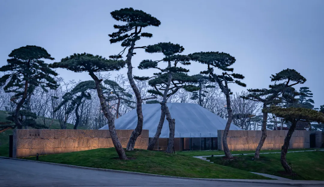 1734661526204221.jpg 1734661518107.jpg