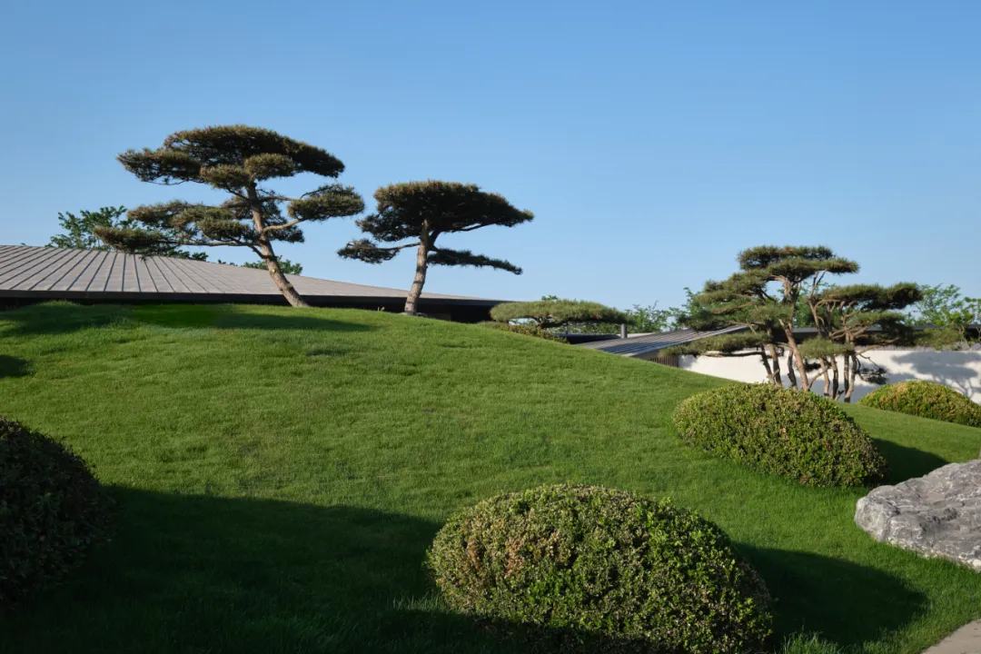 1734661620769764.jpg 1734661452623.jpg