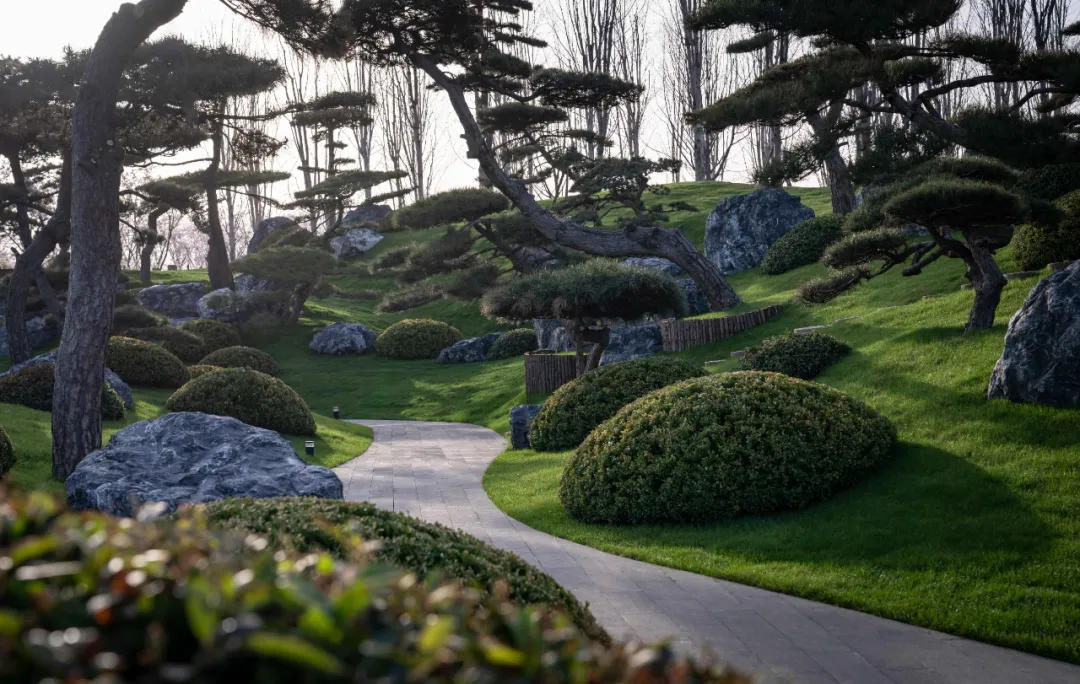 1734661626133404.jpg 1734661455006.jpg