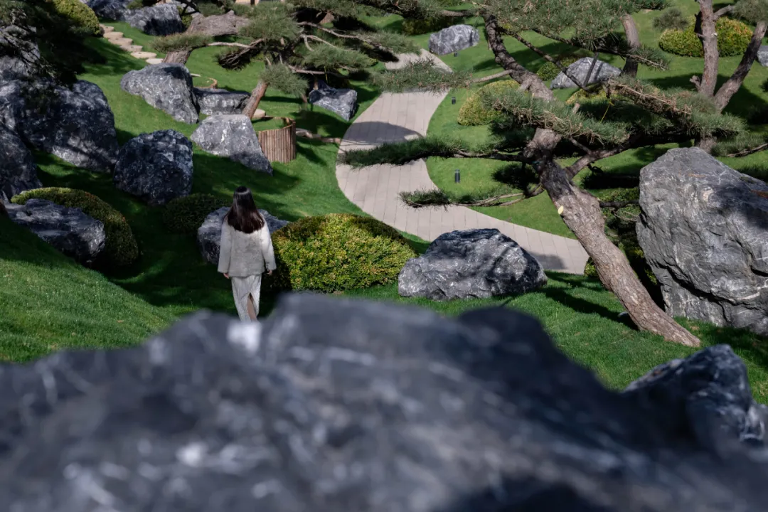 1734661678181089.jpg 1734661632166.jpg