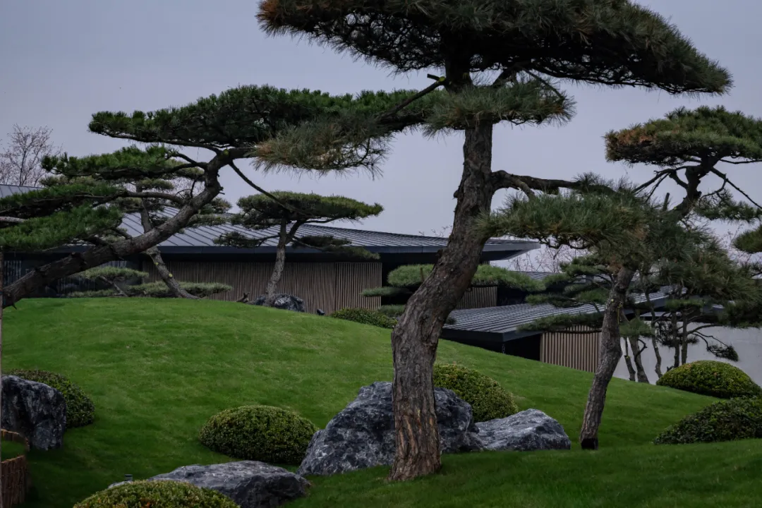 1734661682845893.jpg 1734661634762.jpg