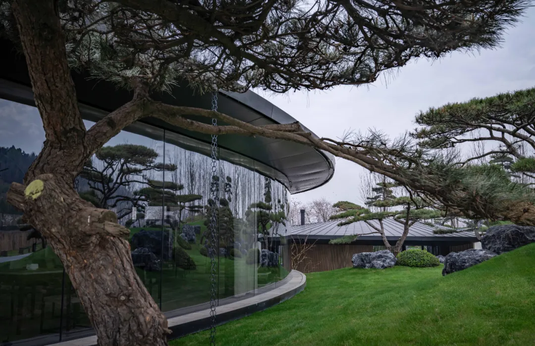 1734661686106204.jpg 1734661638621.jpg