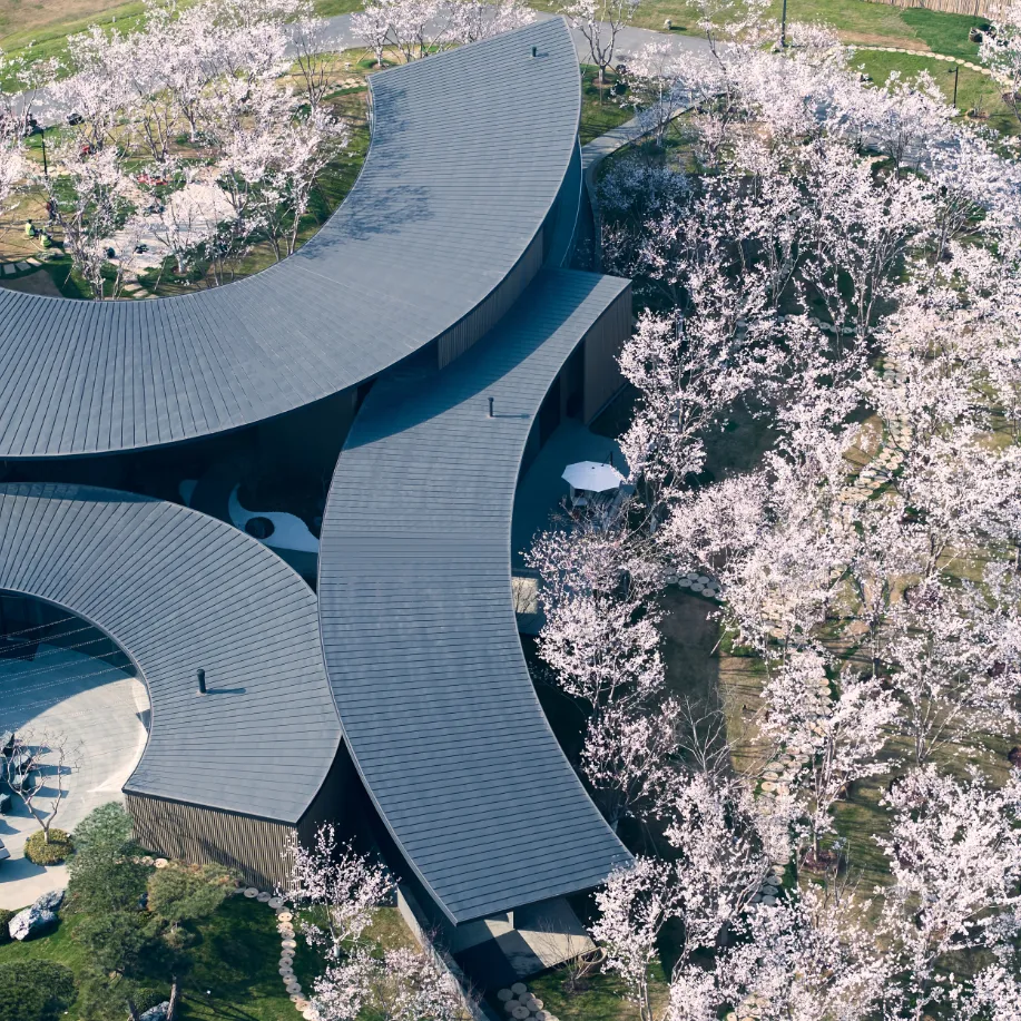 1734661698724046.jpg 1734661645150.jpg