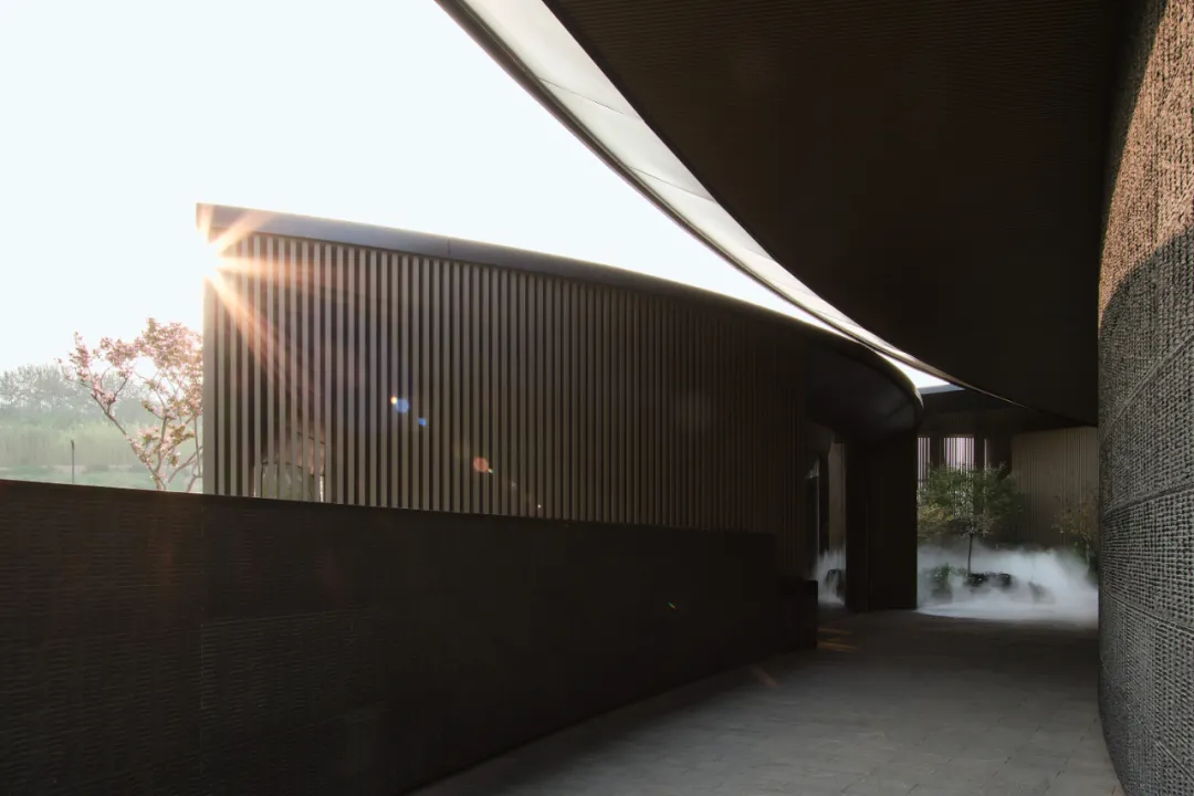 1734661716194826.jpg 1734661648772.jpg