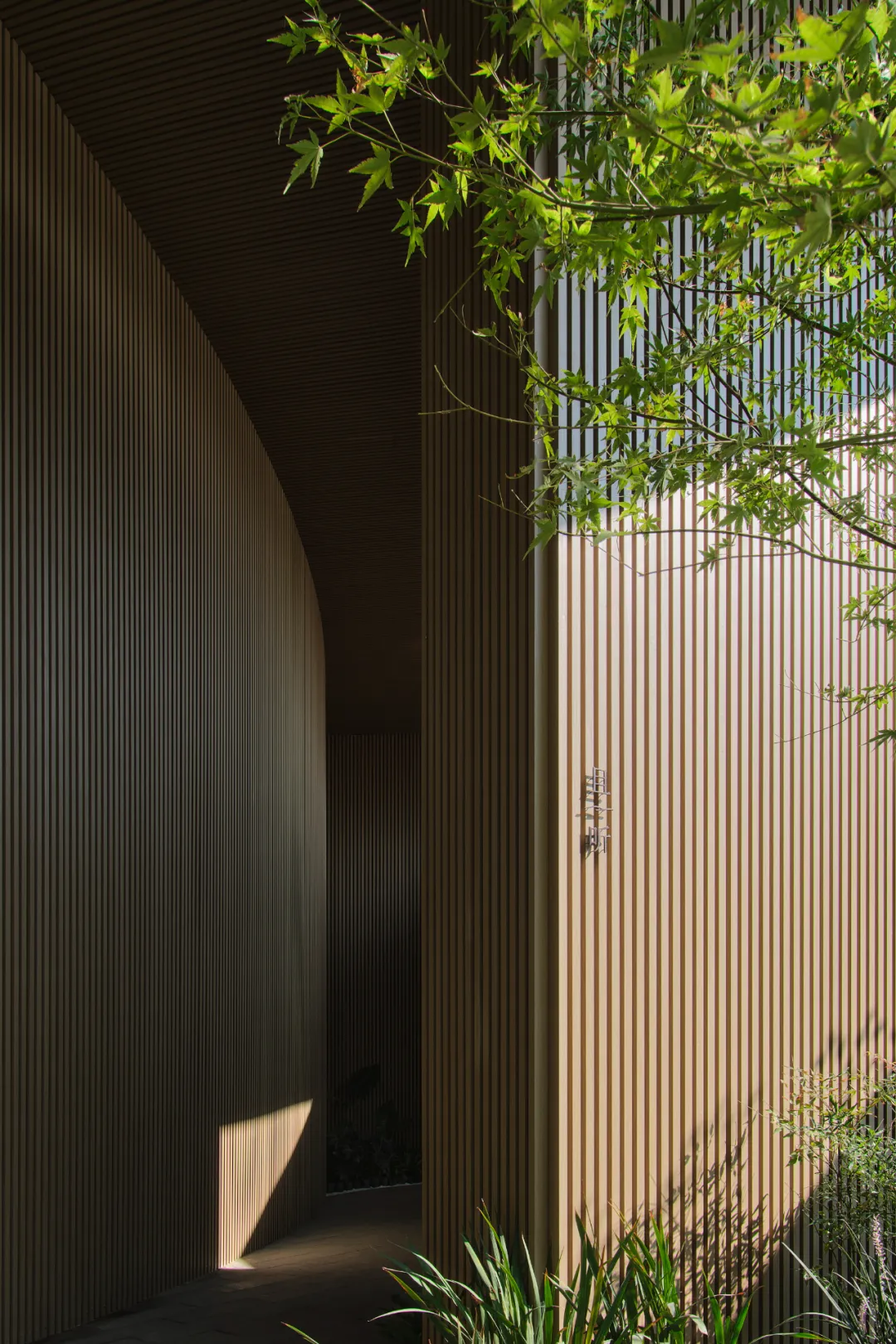 1734661724653663.jpg 1734661651117.jpg