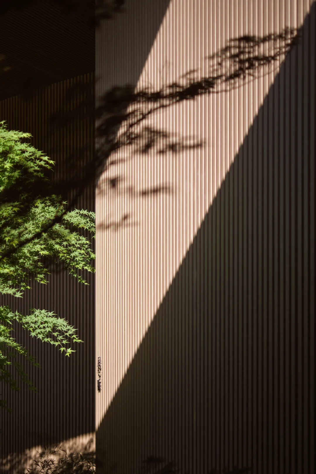 1734661731152926.jpg 1734661657335.jpg