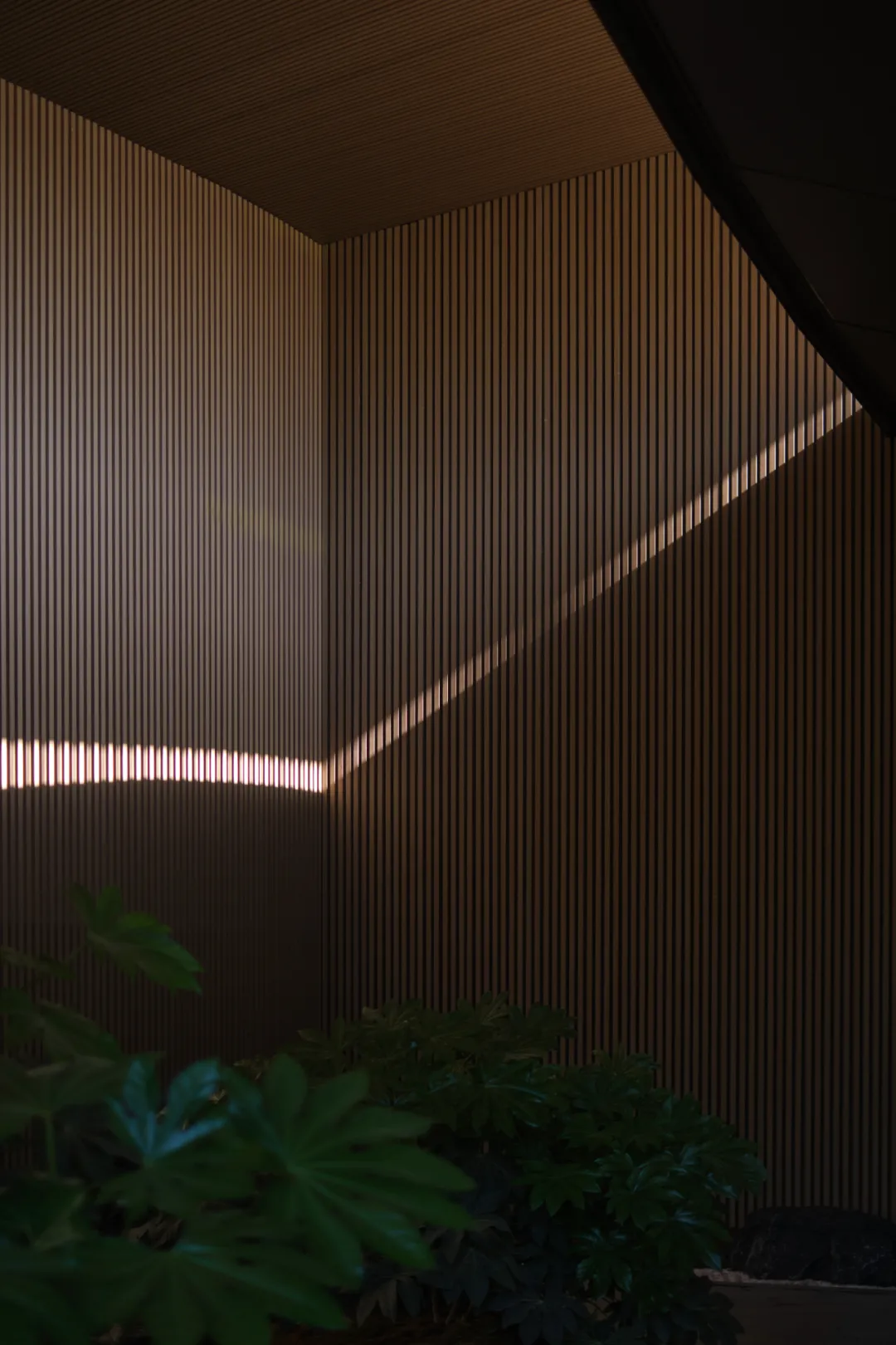 1734661736102493.jpg 1734661659374.jpg