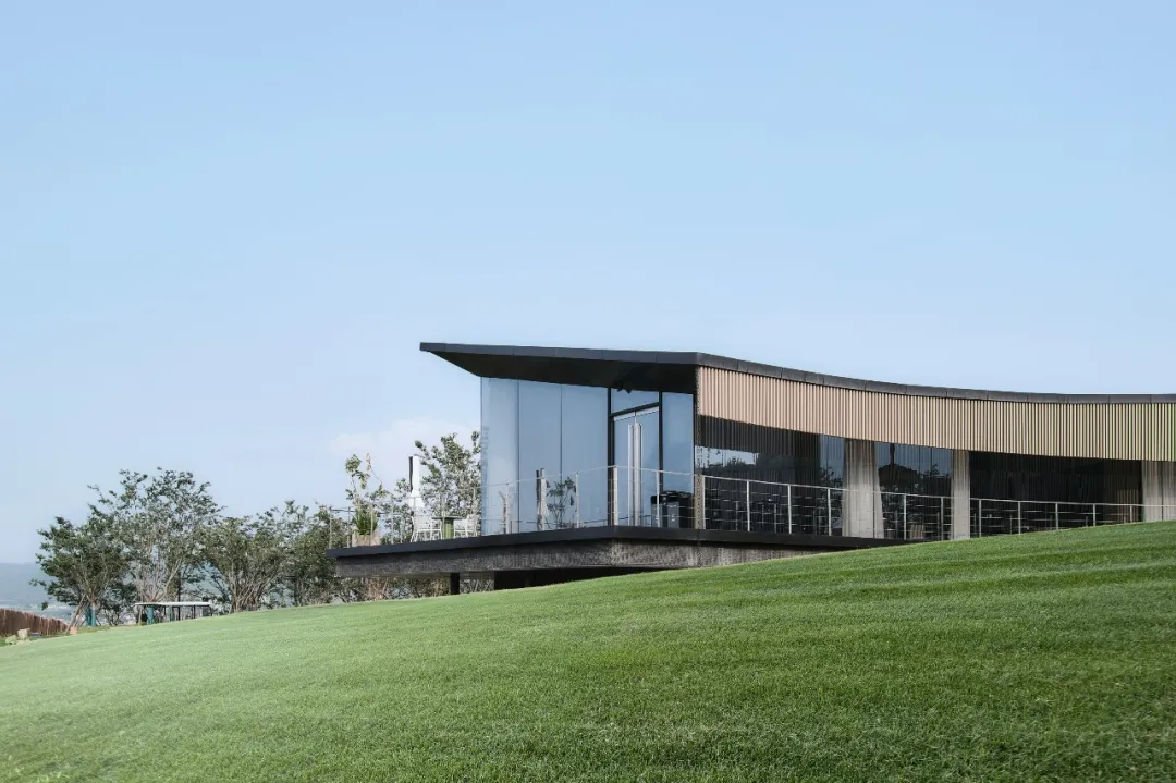 1734661785179648.jpg 1734661746774.jpg