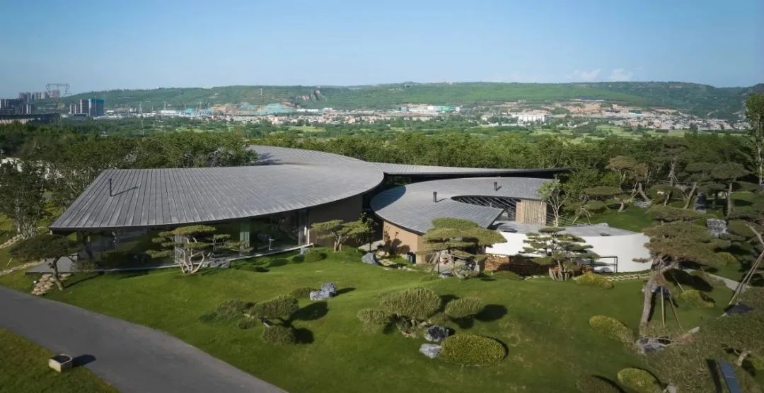 1734661790561928.jpg 1734661753404.jpg