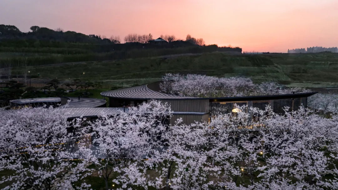 1734661801148464.jpg 1734661757655.jpg