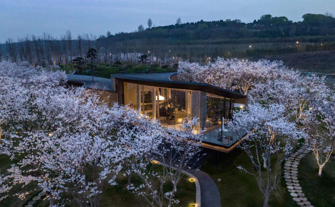 1734661807123223.jpg 1734661759803.jpg