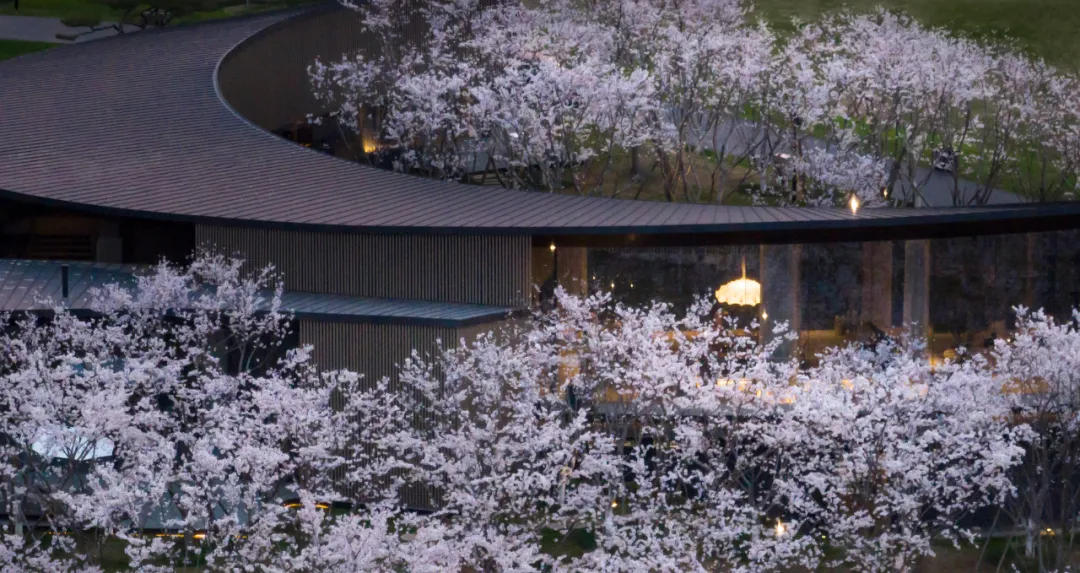 1734661815851183.jpg 1734661762190.jpg