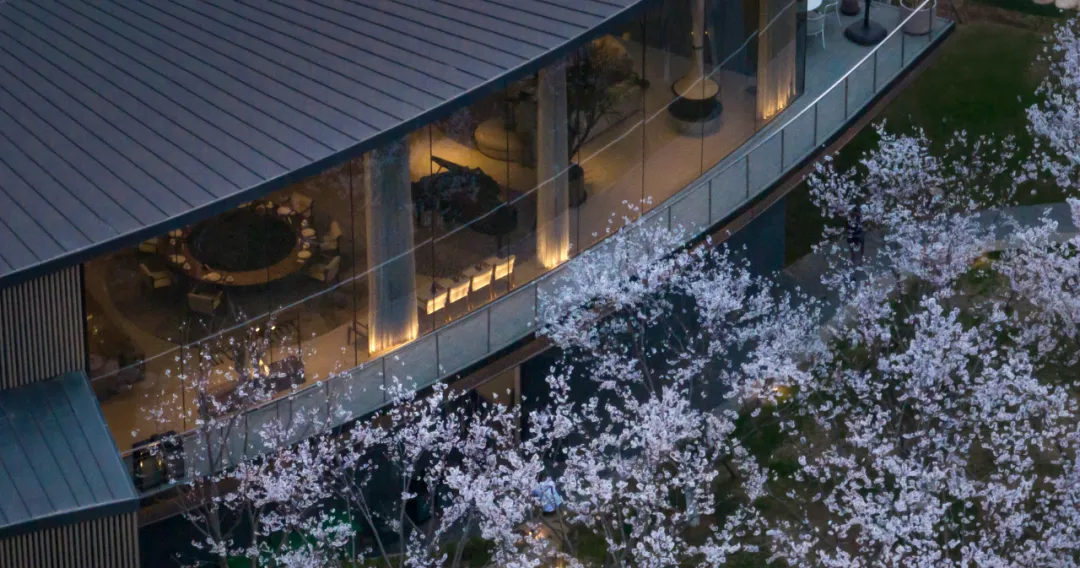 1734661819203207.jpg 1734661765891.jpg