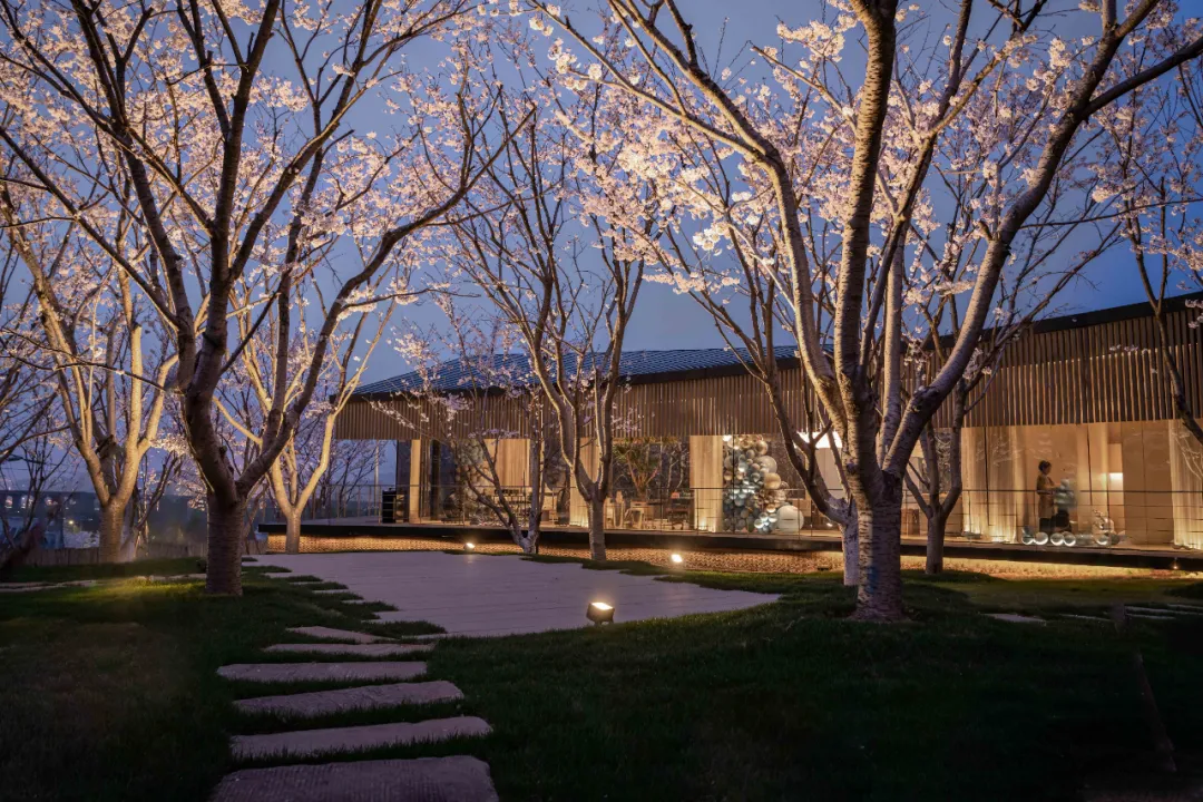 1734661834286405.jpg 1734661772043.jpg