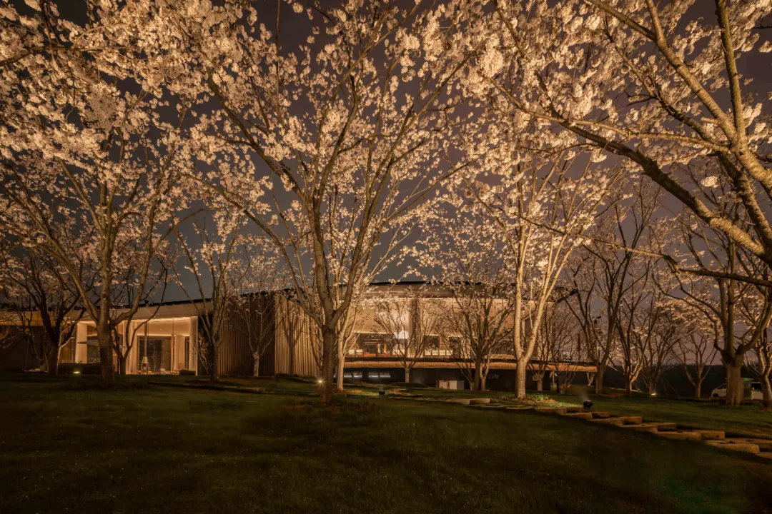 1734661880852338.jpg 1734661839093.jpg