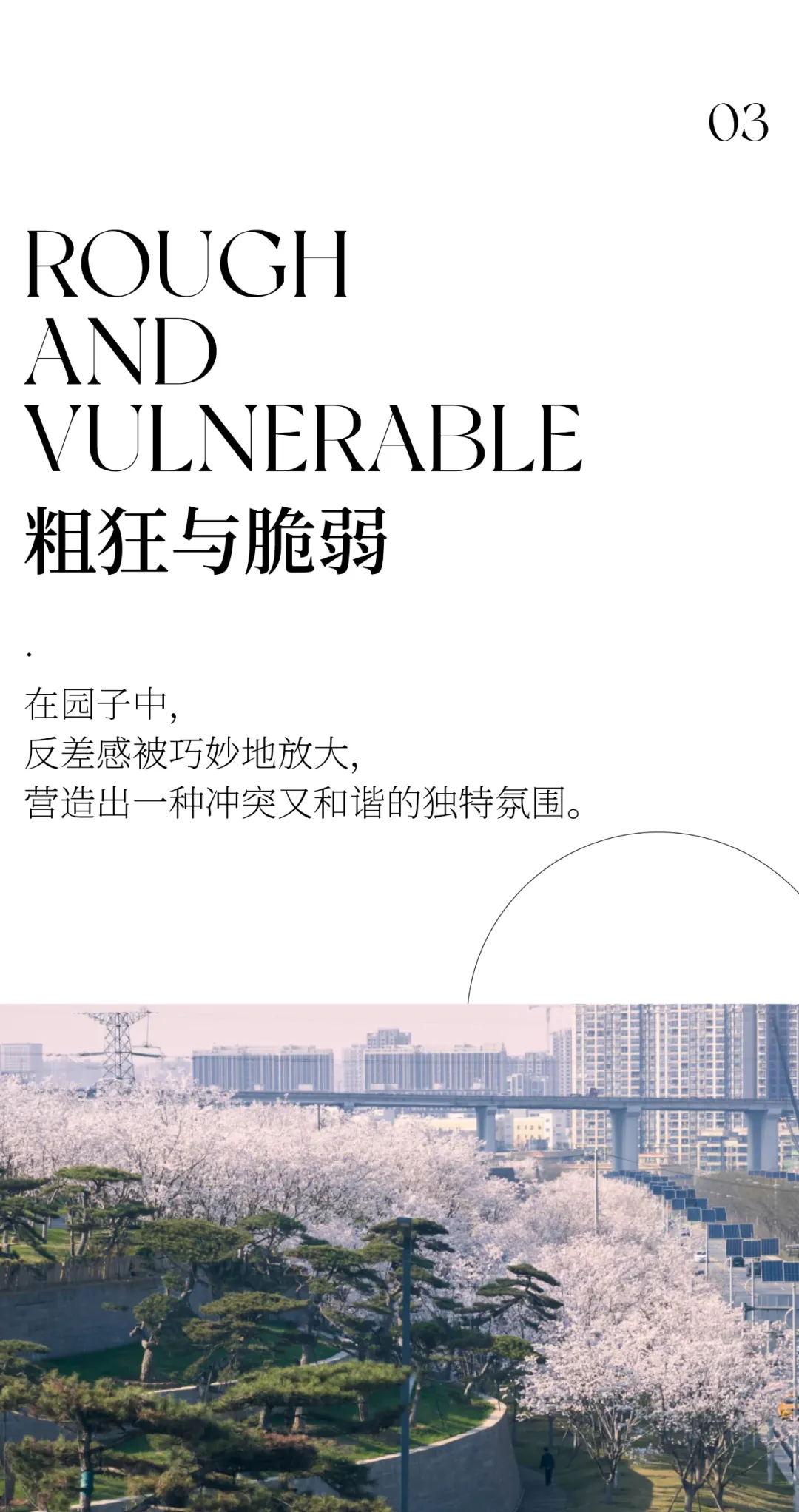 1734661885142885.jpg 1734661841326.jpg