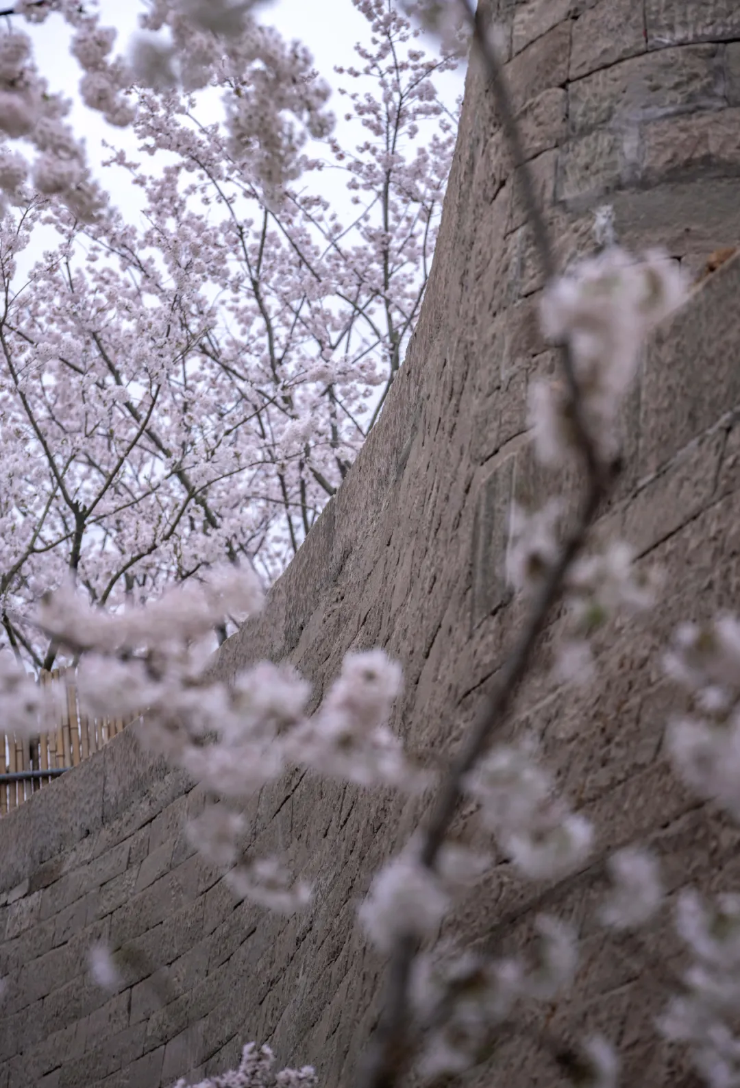 1734661921830059.jpg 1734661849305.jpg