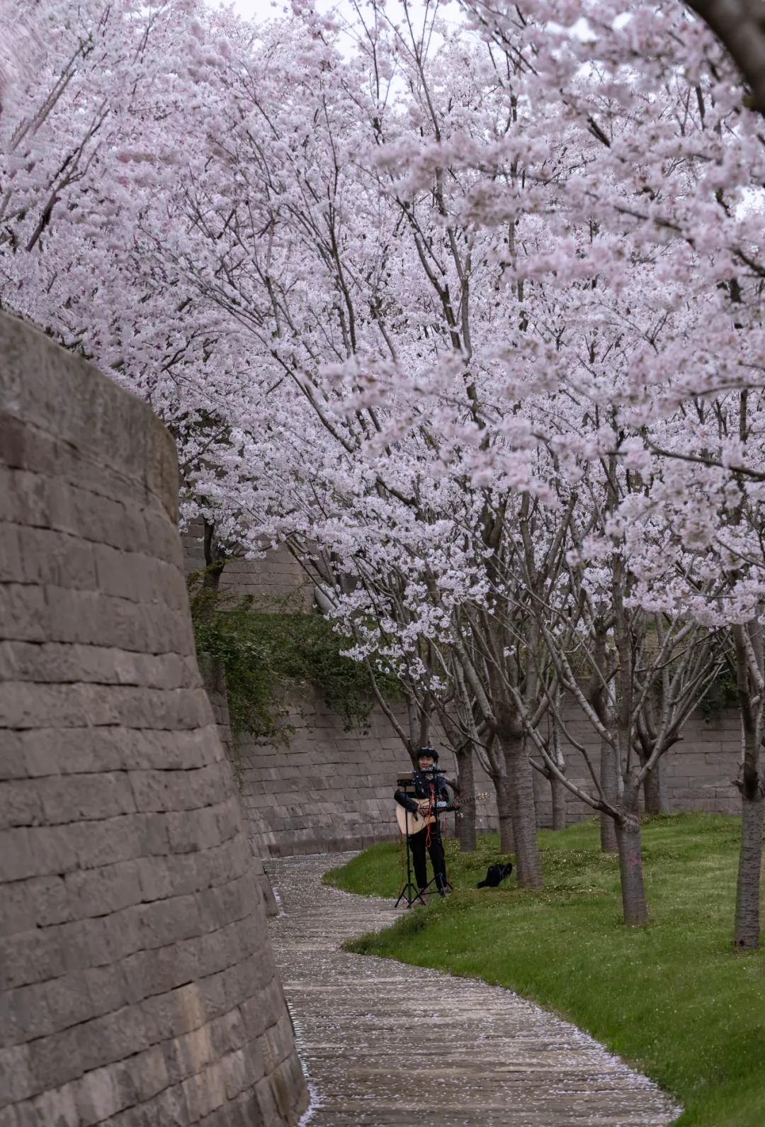 1734661931586999.jpg 1734661853740.jpg