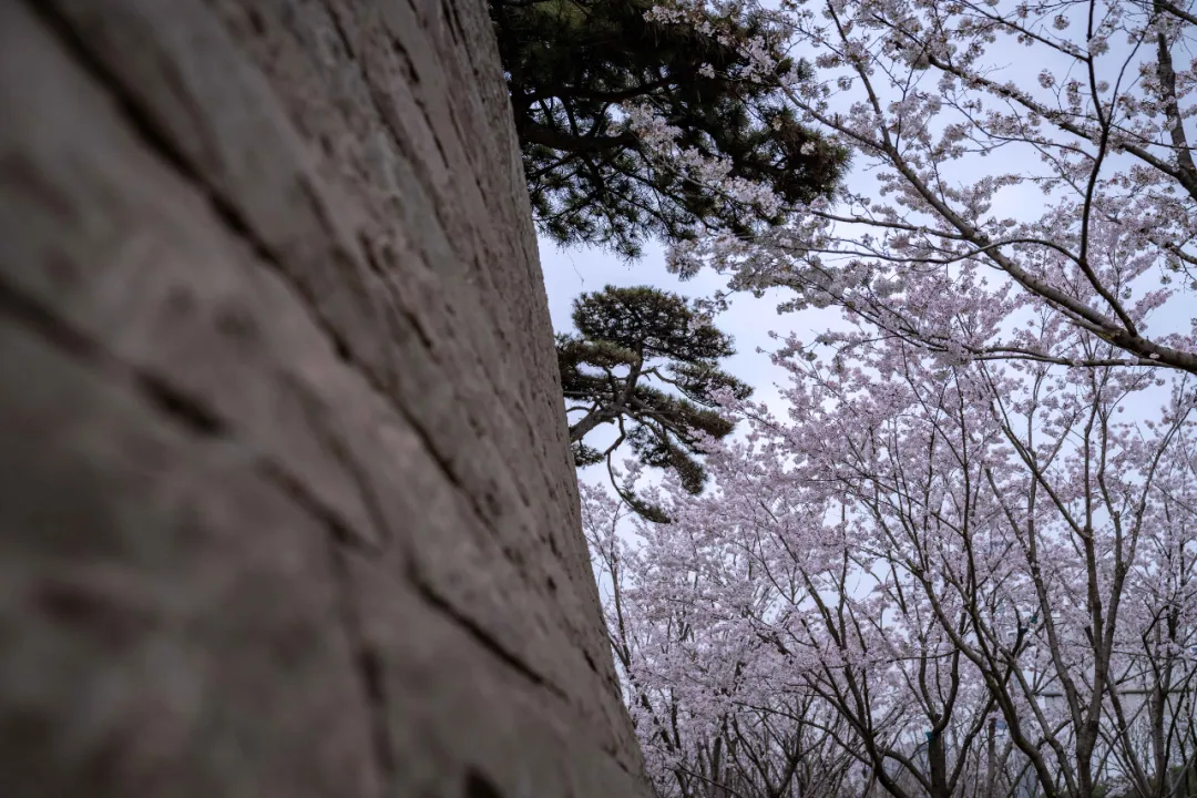 1734661937404838.jpg 1734661855433.jpg