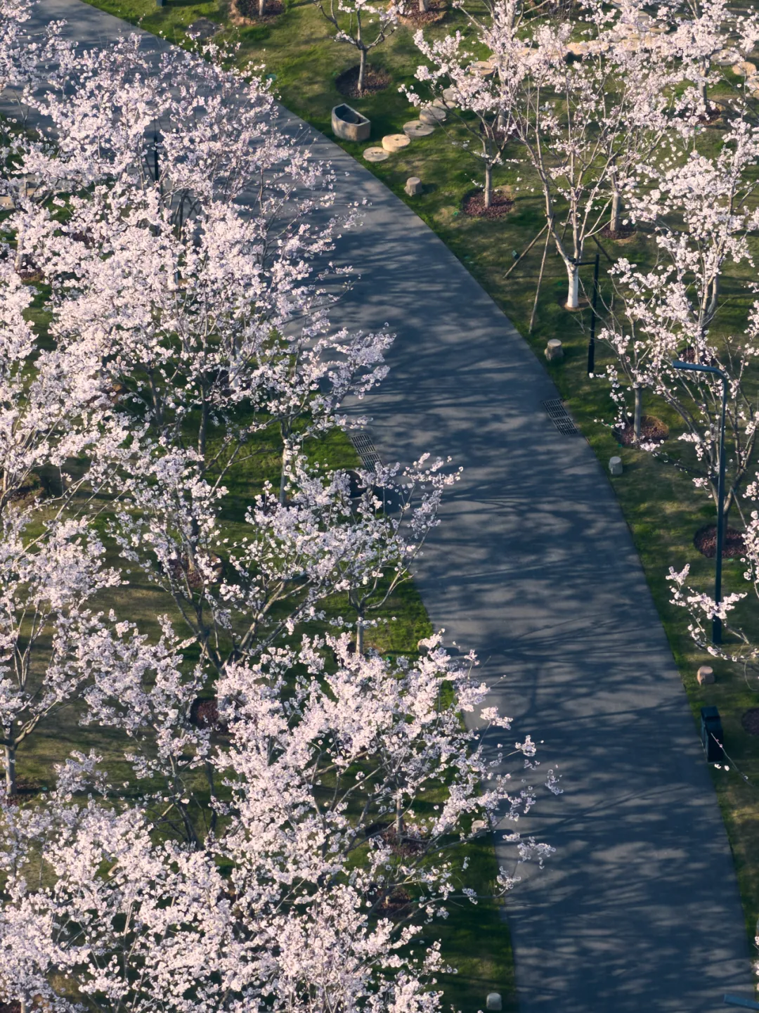 1734661953130966.jpg 1734661858875.jpg