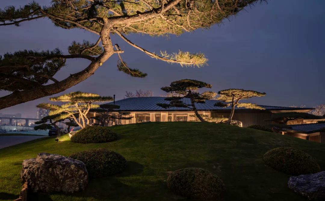 1734662013927559.jpg 1734661981253.jpg