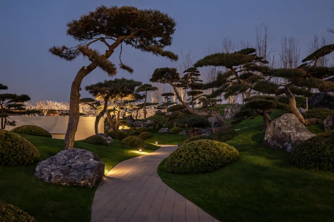 1734662018207682.jpg 1734661983384.jpg