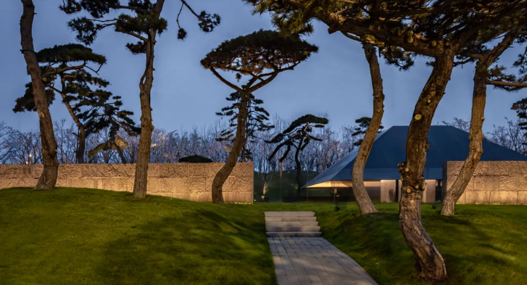 1734662022294307.jpg 1734661987506.jpg