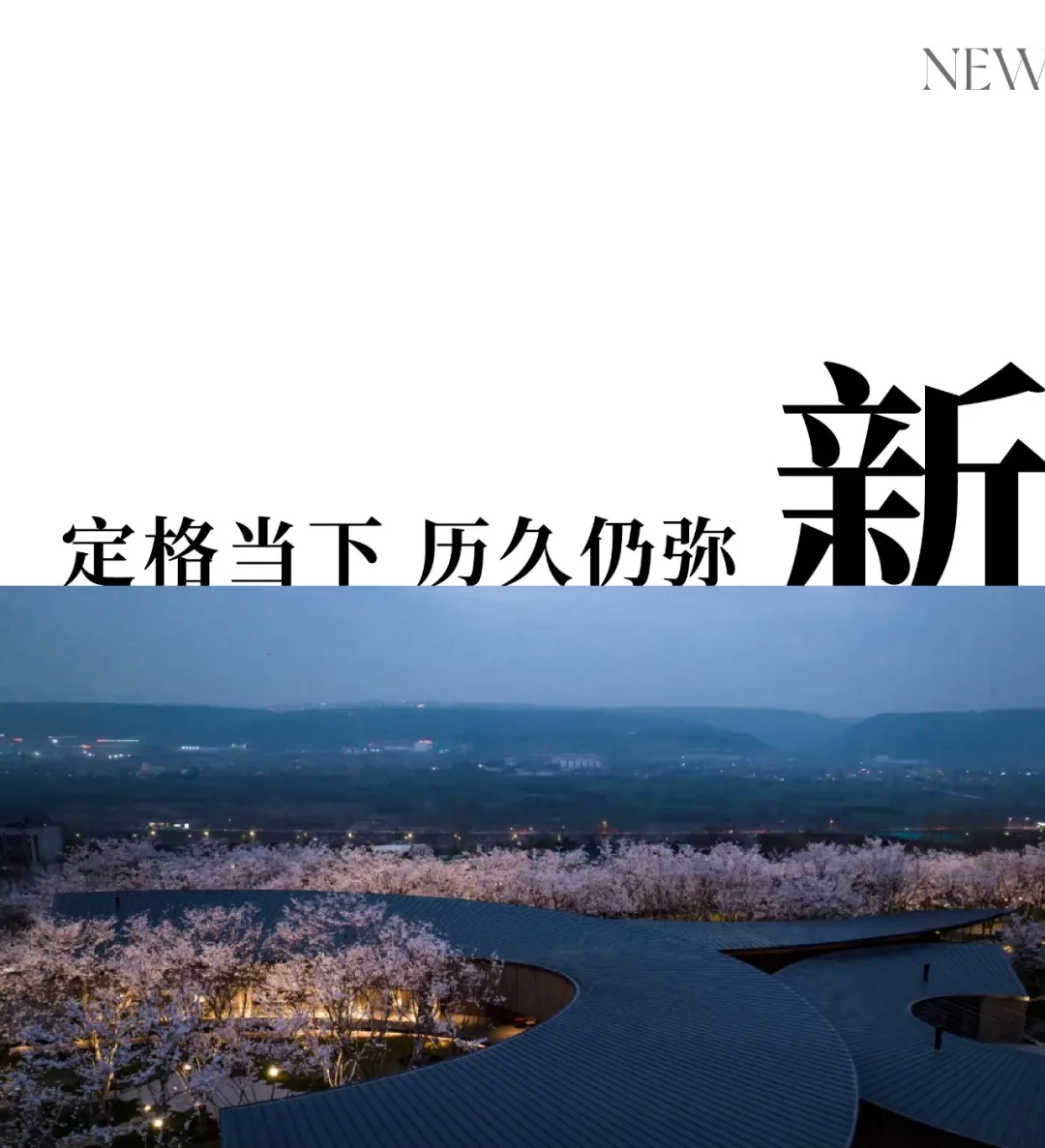 1734662033142871.jpg 1734661992694.jpg