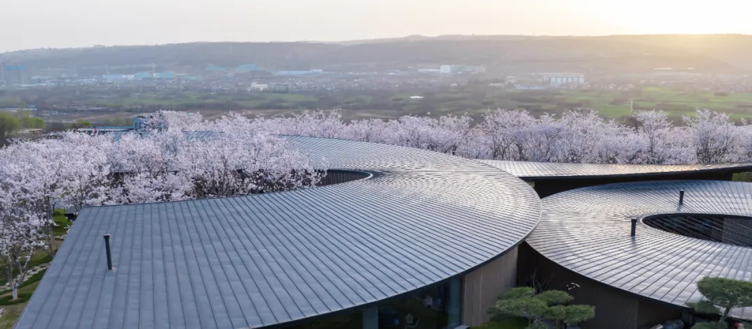 1734662047138485.jpg 1734661996481.jpg