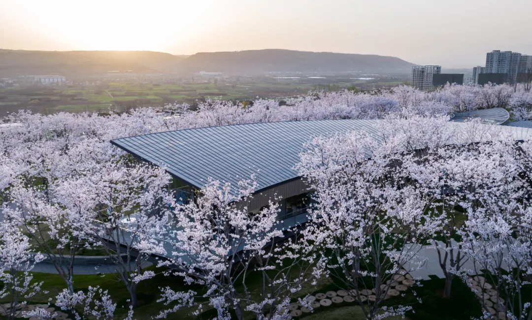 1734662051583489.jpg 1734661999052.jpg