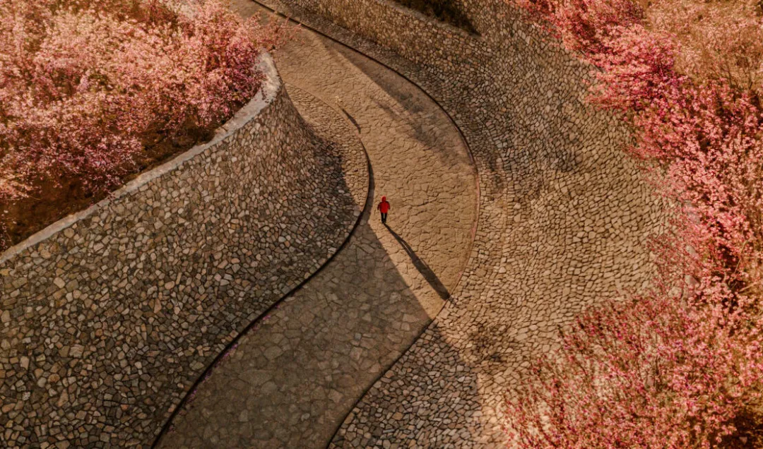 1734681081395951.png bb50b84eb107aba269158f7c55d887c.png