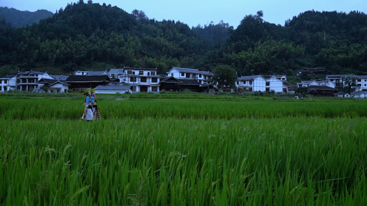 1734681127194655.png c9f6058f83a29f36d281a74486e495f.png