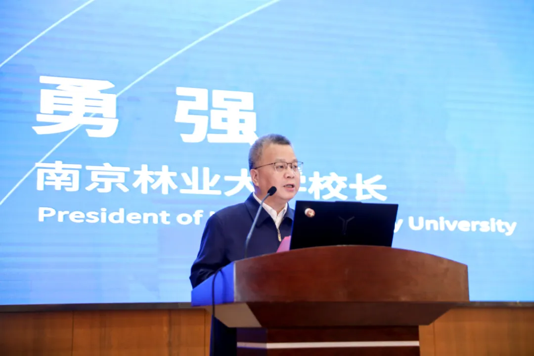 1734688067472131.jpg 1734687996724.jpg