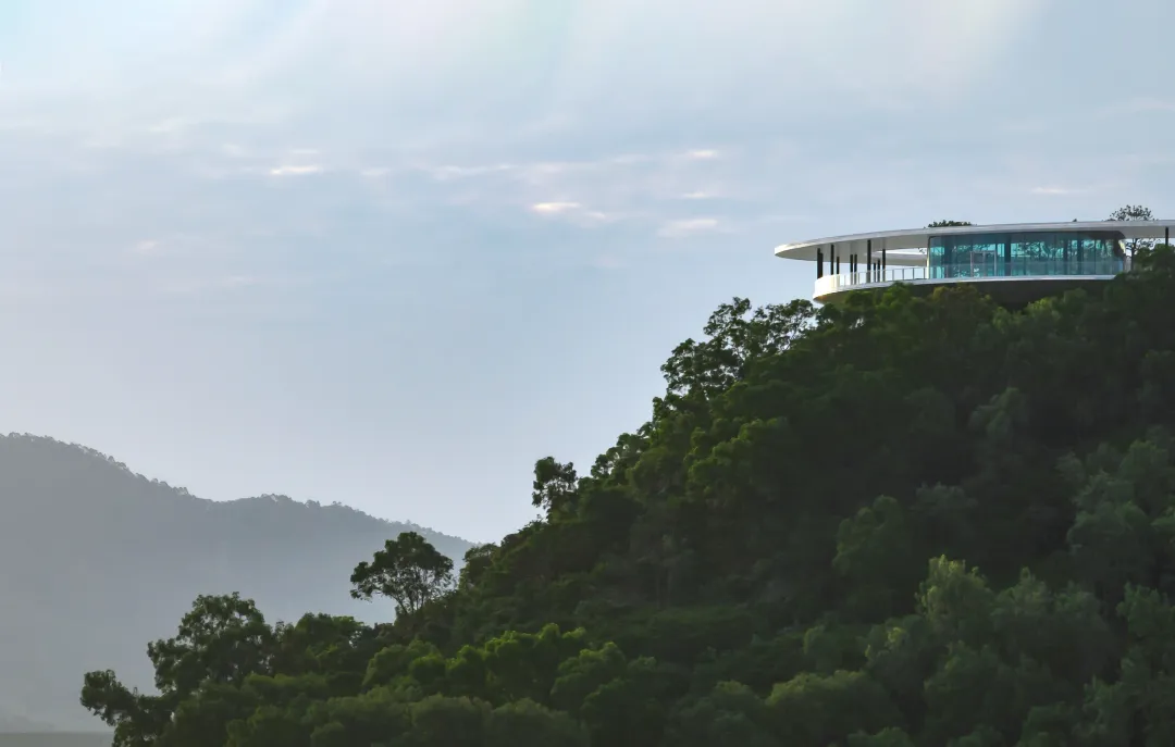 1734691641677651.jpg 1734691563568.jpg