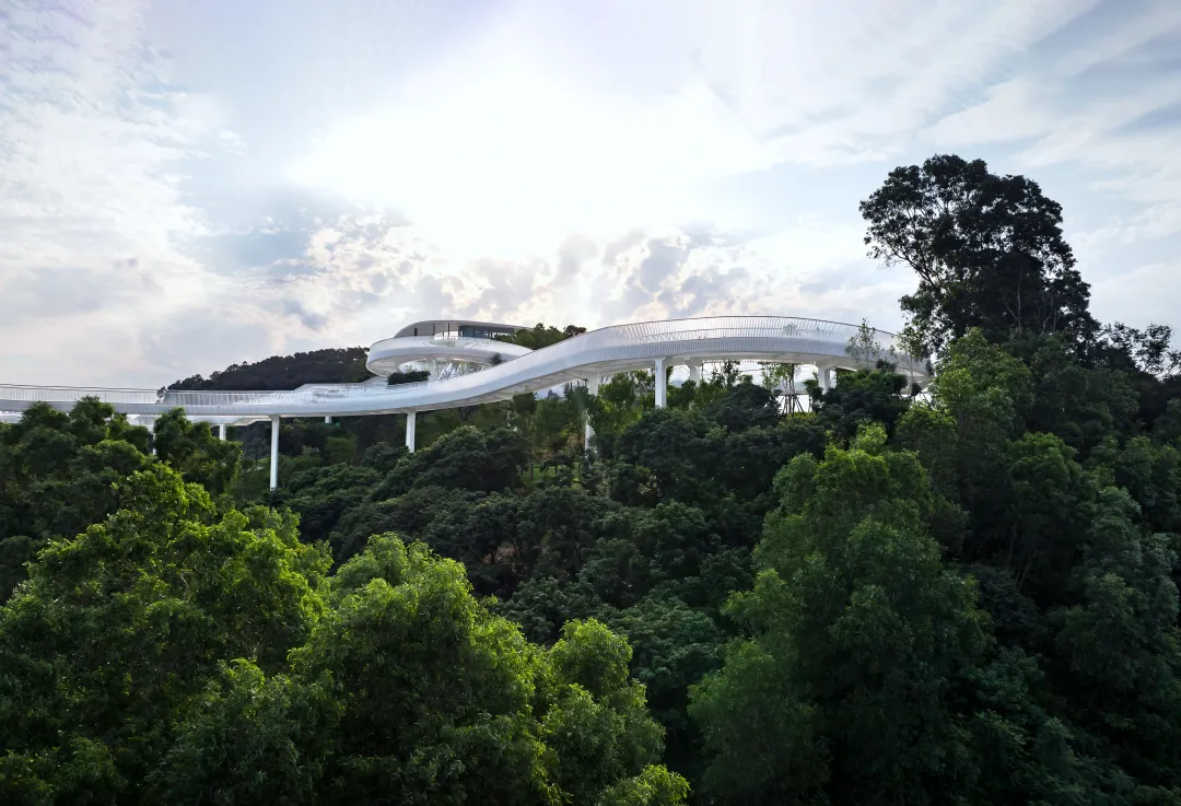 1734691650141079.jpg 1734691570349.jpg