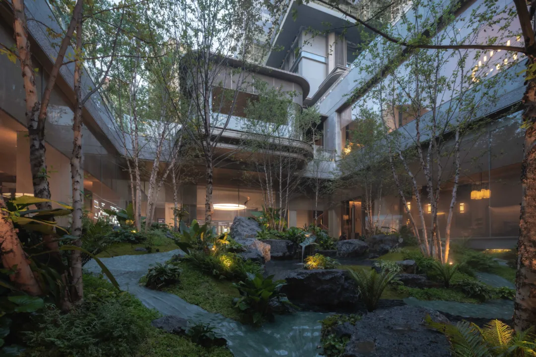 1734916749169573.jpg 1734916591899.jpg