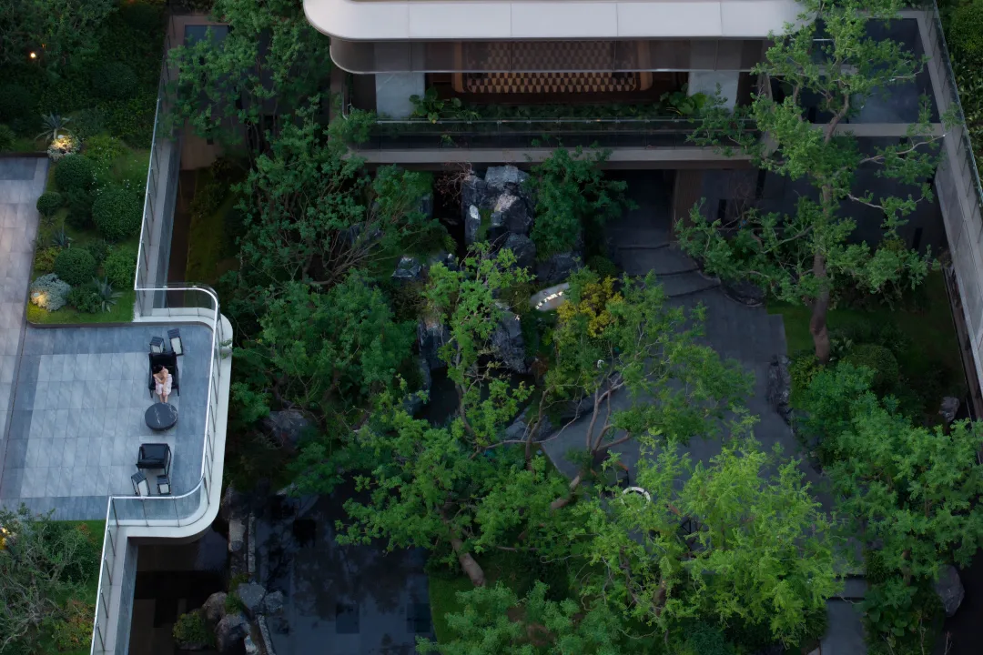 1734916770109072.jpg 1734916594524.jpg