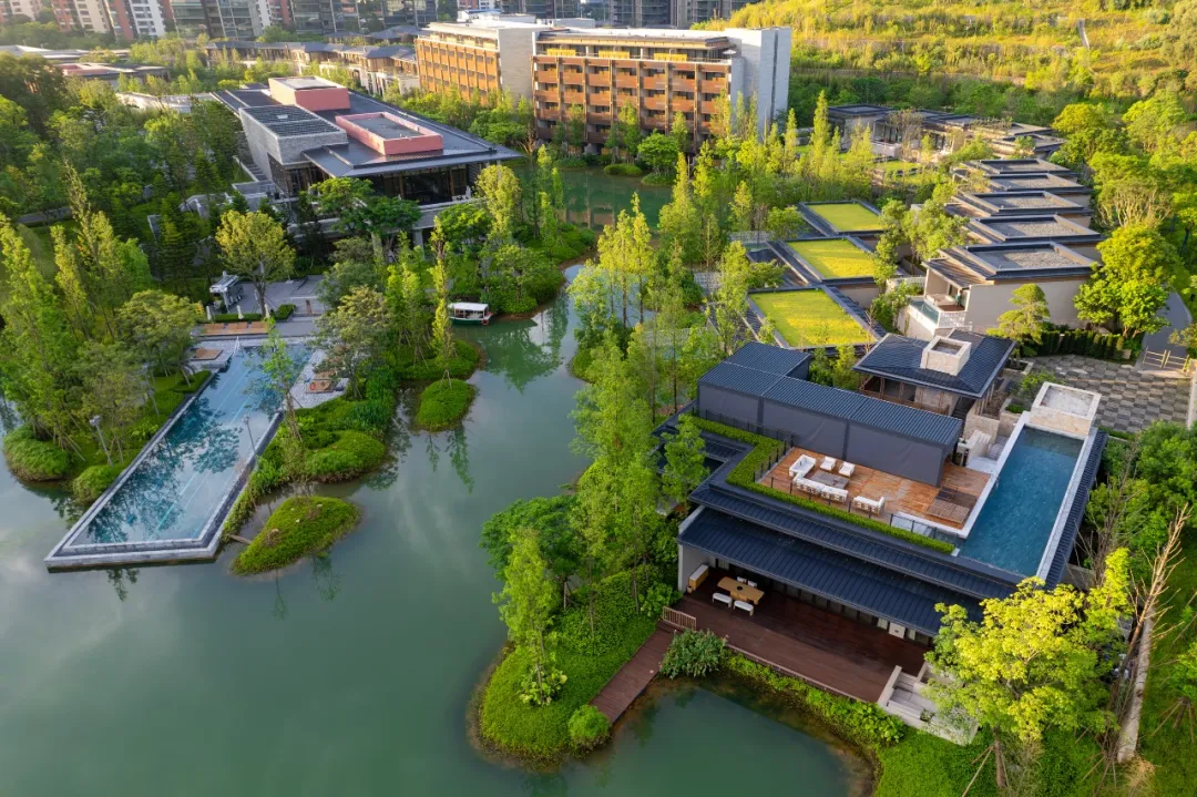 1734916968108759.jpg 1734916921663.jpg