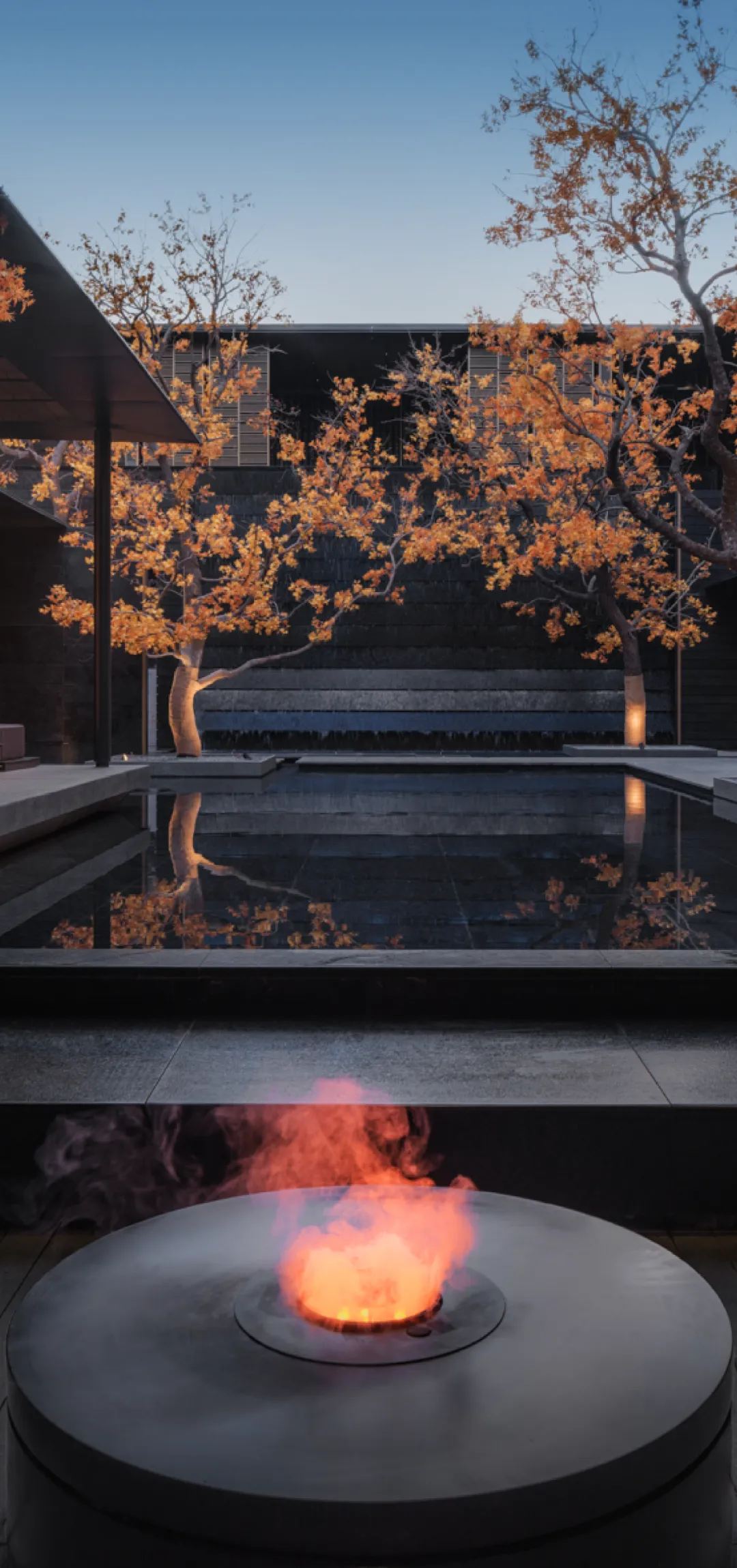 1735206932671006.jpg 1735206785444.jpg